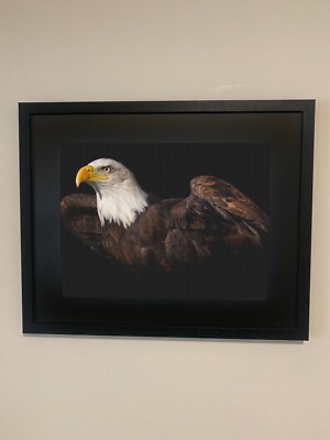 3D Linsenbild Wandkunst 'Amerikanischer Weißkopfseeadler', Rahmengröße 54cm x 44cm