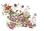 Bild 7 von 12