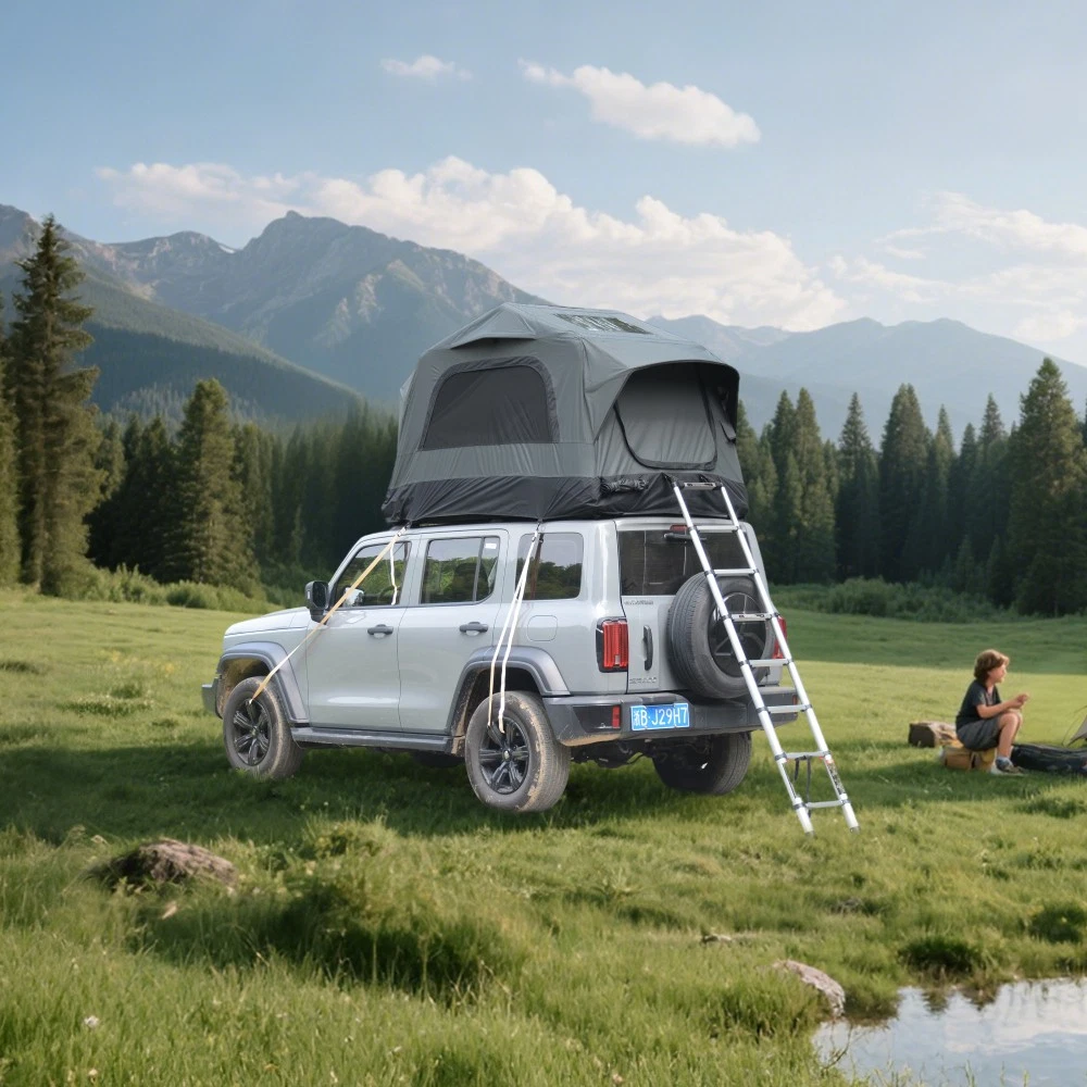 Truck Roof Tent Car SUV Roof Tent Inflatable Roof Top Tent Camping for 2 Person