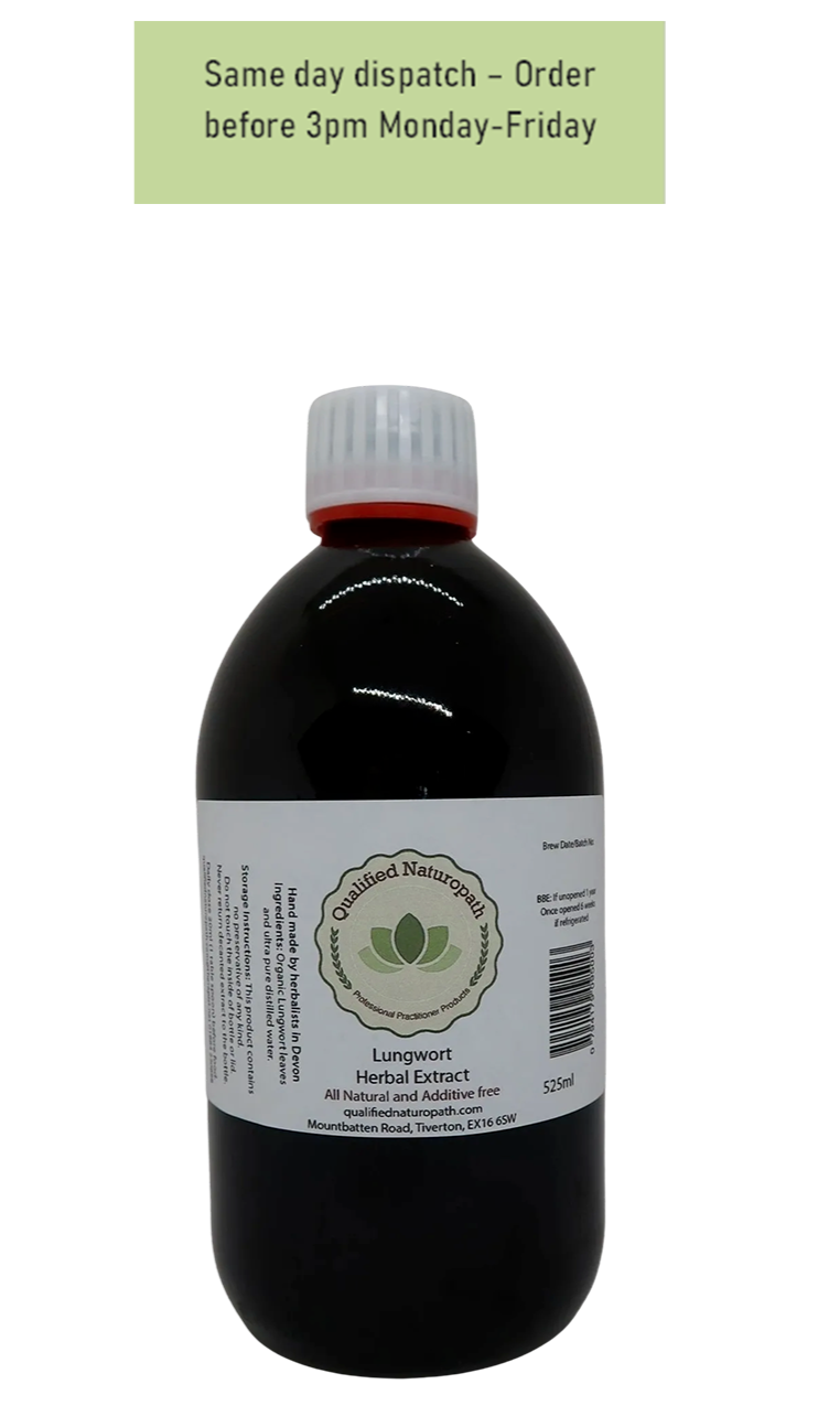 Lungwort Herbal Extract - 525ml - In Glass UV Resistant Bottle
