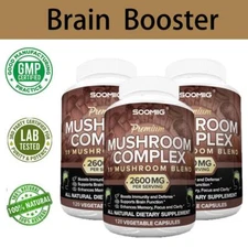 Mushroom Complex 2600 mg - Enhances brain function and improves concentration