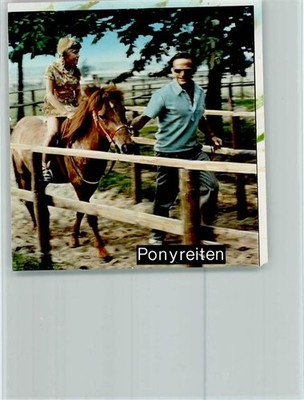 40089648 - 4950 Duetzen Pony Riding
