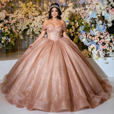 Champagne Off Shoulder Glitter Tulle Quinceanera Ball Gown Long Train Dresses