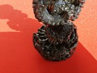Bild 7 von 12