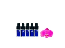 iS Clinical Poly Vitamin Serum 5 samples