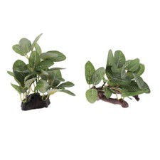 2pack/set Reptile Terrarium Plants for Turtle/Snake/Lizard/Frog/Spider/Plant