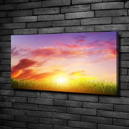 Tulup Tableaux Sur Toile Image Imprimé 100x50cm - Hauts Palmiers
