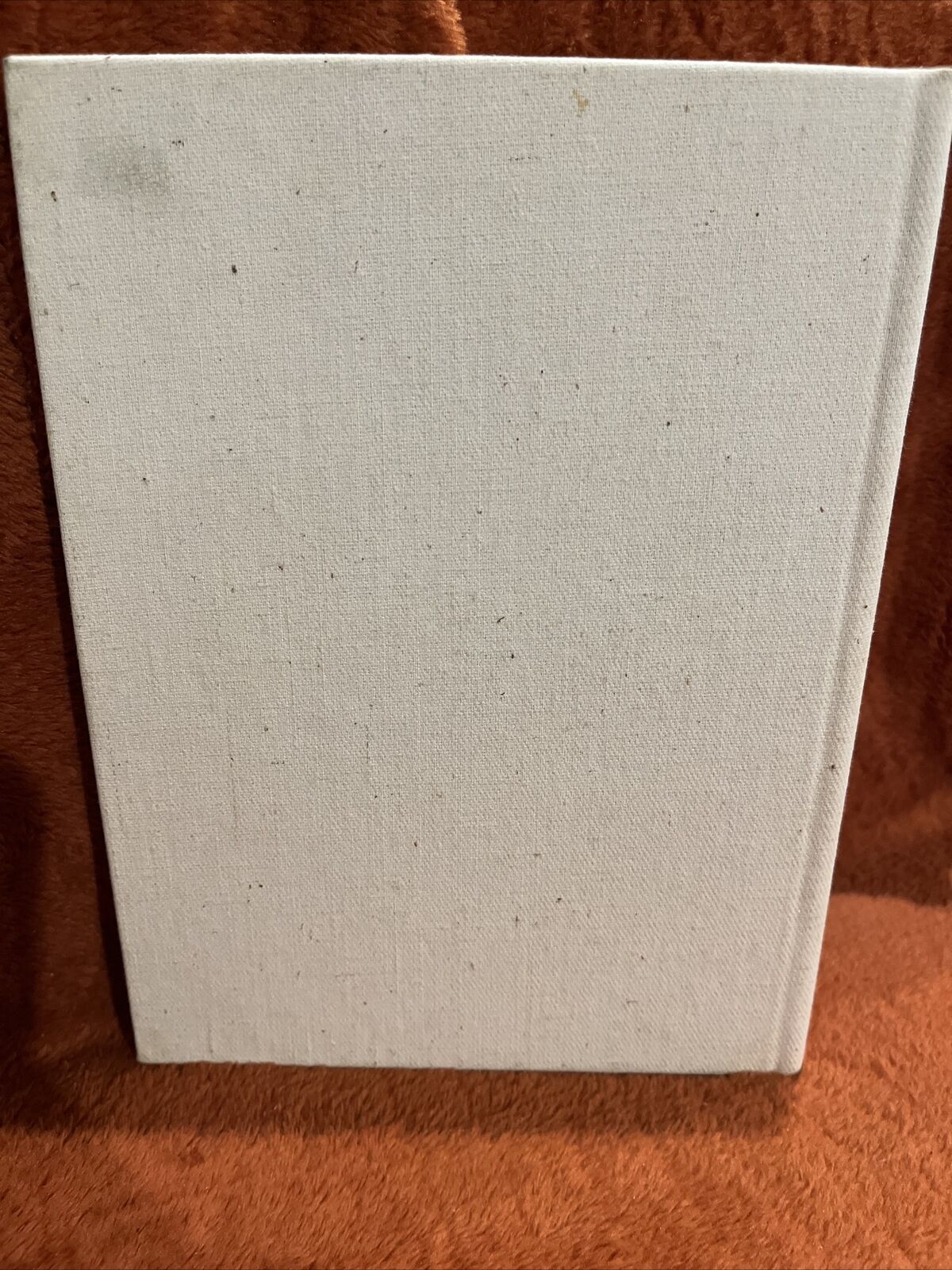 Picture 2 of 11