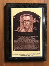 Vladimir Guerrero - Baseball Hall of Fame Induction - Ready to Hang Wall Plaque