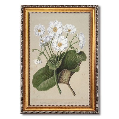 White Anemone Wall Art Canvas Oil Paintings Reproduction
