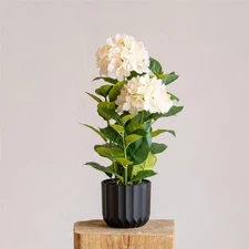 Large Faux Hydrangea Tree in Pot – Lifelike Real-Touch Artificial Hydrangea P...