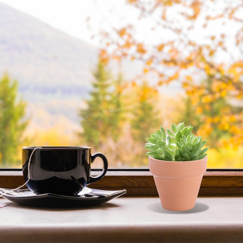 10 Pcs Cotta Pots Planters Small Flower Clay Ceramics Cactus eBay