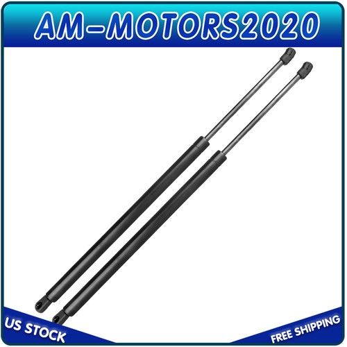 2 Ammortizzatori Per Portellone GMC Acadia 2007-2016 E Saturn Outlook - Ricambio Diretto