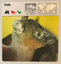 PUDU, 1977 EDITIONS RECONTRE 4 3/4" x 4 3/4" CARD