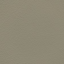 GM Shadow Grey/Stone Leather Dye