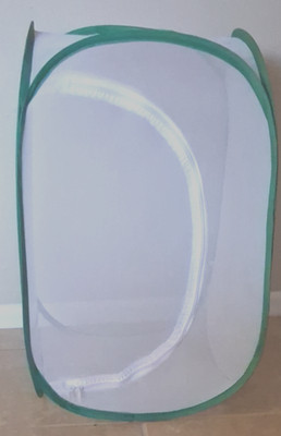 Butterfly Habitat Mesh Cage Pop-Up Enclosure Clear Panel + Vinyl Insert Foldable
