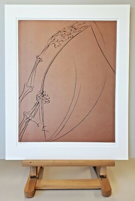 Salvador DALI (1904-1989) Original Grano-Lithographie # 740 (163/1000) Die Angel