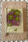 Clifton Bingham Poem Happy Birthday Good Luck Fold Out embossed border postcard — photo 1