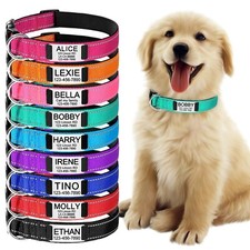 Reflective Personalised Dog Collar with Engraved Name Tag Adjustable Nylon Strap