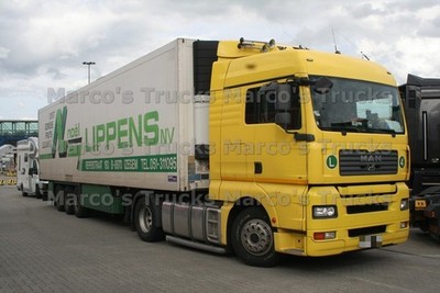 Truck photo MAN TGA Refrigerated semitrailer Belgium yellow Lippens NV #c2tf