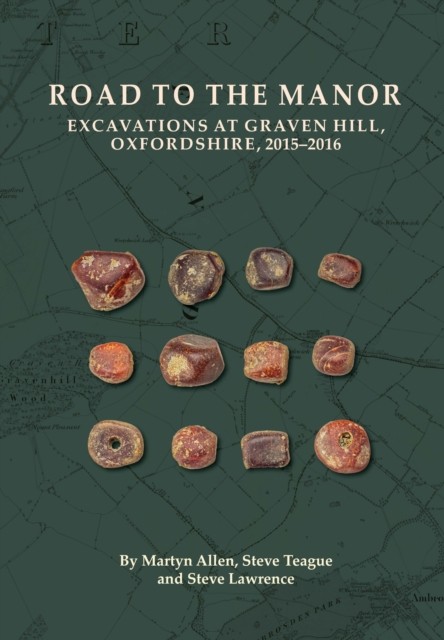 Road to the Manor by Martyn Allen (Paperback Book)