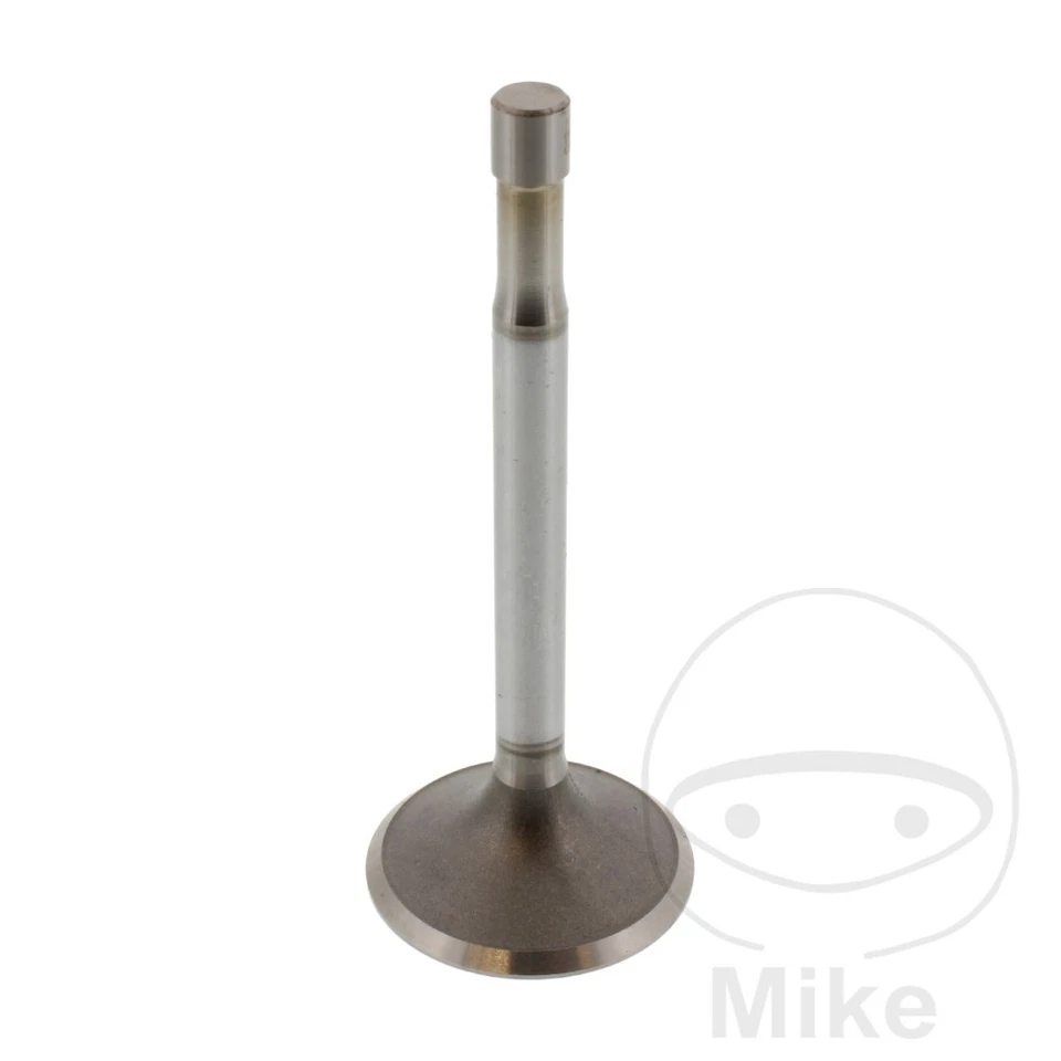 Soupape d'admission pour BMW R 25 /3 R 26 R 50 R 51 /2 /3 R 60 R 67 /3 - Photo 1/1