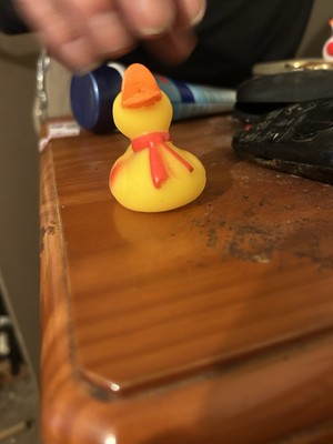 Blushing Duck Spielzeug
