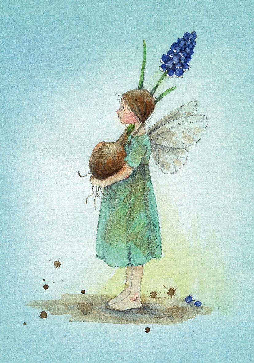 Thumbnail - Postkartenbuch ""elfenträume"", Daniela Drescher