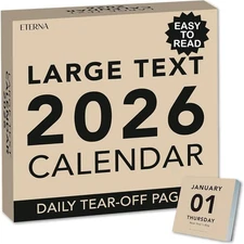 2026 Large Text Daily Calendar | Today Is Box with Big 2026 