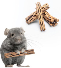 Natural Cholla Wood - Driftwood for Aquariums, Air Plant Base, Hermit Crab and F