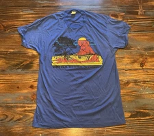 Vintage 80’s Devils Tower Wyoming T Shirt Size XL Screen Stars Single Stitch