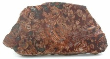 230 Gram 8.1 Oz Arizona Cuprite Lace Agate Fossil Cab Cabochon Slab Rough ACAS3