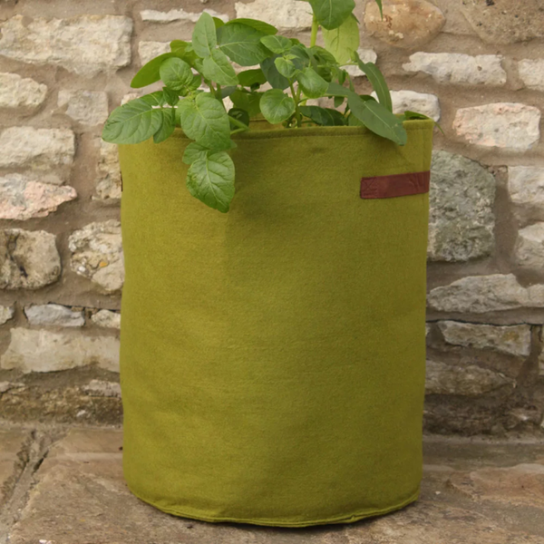 Vigoroot 40 Litre Large Grow Bag Planter Potato Spud Tomato Growbag