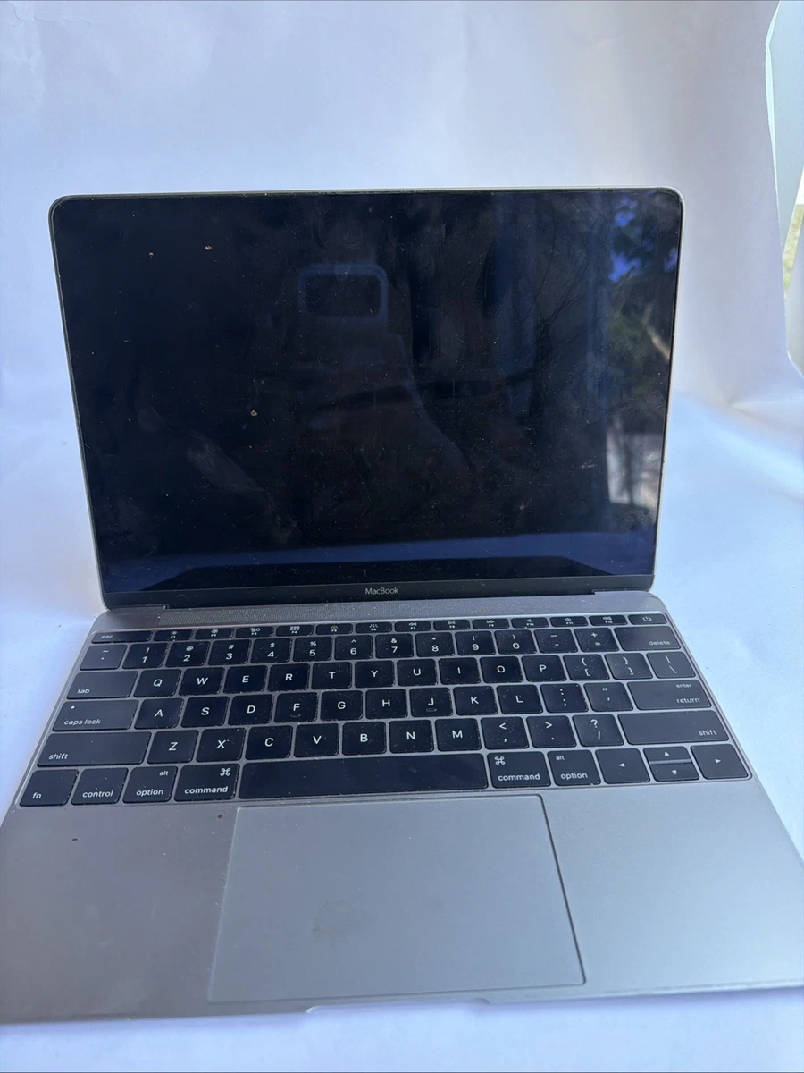 Écran LCD Complet Apple MacBook 12″ Retina A1534 Argent (2015