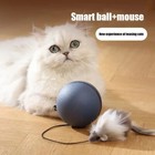 Cat Toys Mouse Teaser Ball Funny Moving Toy For Pets Cat Dog Electric Teaser Bal