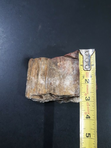 1 lb. Versteinerter Holzstamm/Aufsteller/Stein/Blumenbeet/Natur/Kristall, Edelsteine - Bild 10 von 12