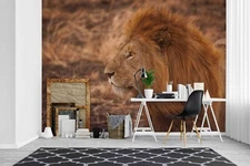 3D Close Look Of Lion Wallpaper Wall Mural Removable Self-adhesive Sticker