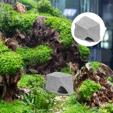 Shrimp Farming Cave Hideouts Shrimps Aquarium Landscaping Compact