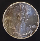 1993 American Eagle Toned Walking Liberty Bullion Vtg-0.999 Silver 1 Oz Coin 3d