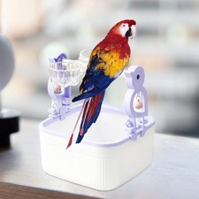 Bird Perch Stand Parrots Poop Stand for Lovebirds Budgie Small Medium Parrot