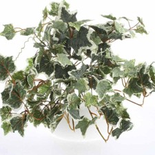 Set of 4 Flocked Artificial Ivy 17" Long Floral Bushes