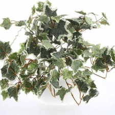 Set of 4 Flocked Artificial Ivy 17" Long Floral Bushes