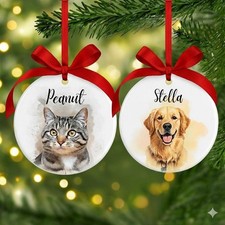 Custom Pet Dog Cat Family Christmas Ornament Personalized Names Ceramic 2025 Gif