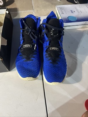 Nike LeBron 17 ''More Than An Athlete''