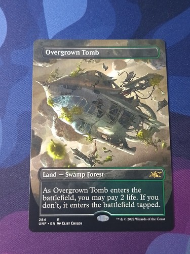 Overgrown Tomb Borderless | Unfinity | NM | MTG