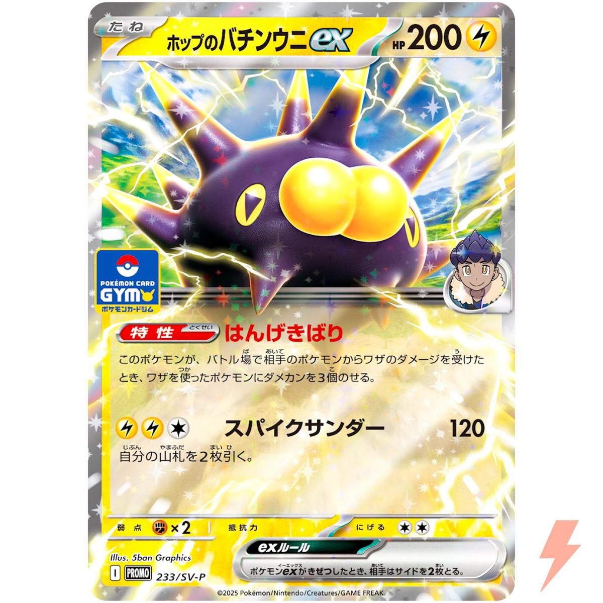 Hop's Pincurchin ex 233/SV-P Gym Promo - Pokemon Card Japanese