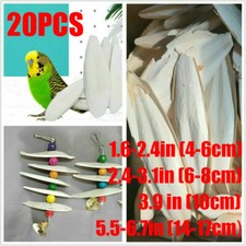 20 PCS Cuttlebone for Birds Parrot Chewing Cuttle Bone For Sharp Beaks USAA