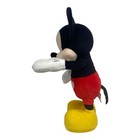 Foto 3 di 8