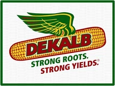 Dekalb Strong Roots 9" x 12" Metal Sign