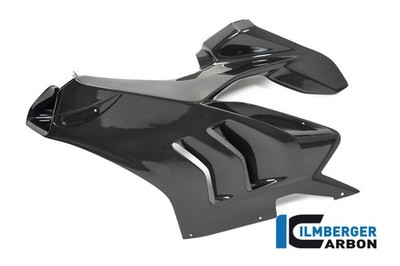 Panigale V4R Racing '19 Left Gloss Fairing Side Panel